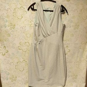 Silver Dress